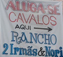 Mais Cavalgadas e Cavalos