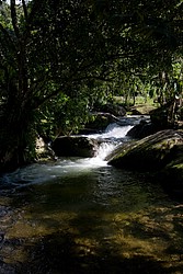 Cachoeira_Alcantilado_Vale_Flores4391.jpg(108 KB)