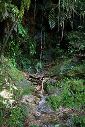 Cachoeira_Alcantilado_Vale_Flores4428.jpg(153 KB)