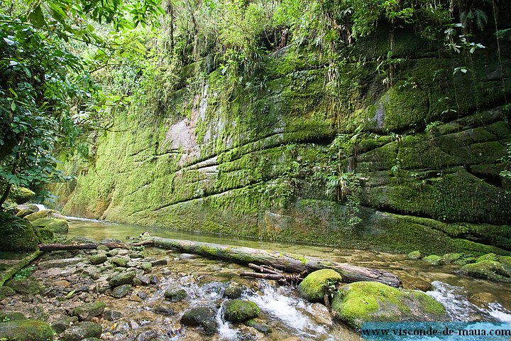Cachoeira_Saudade-4827.jpg Cachoeiras da Saudade