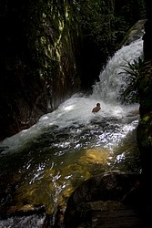 cachoeira_toca_da_raposa5234.jpg(82.7 KB)