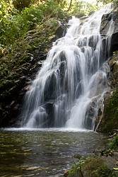 Parque Ecologico Cachoeira do Santuário: 25 cachoeiras, horas e dias de caminhadas