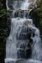 Cachoeira_Santuario_Visconde_Maua-1018.jpg(95.0 KB)