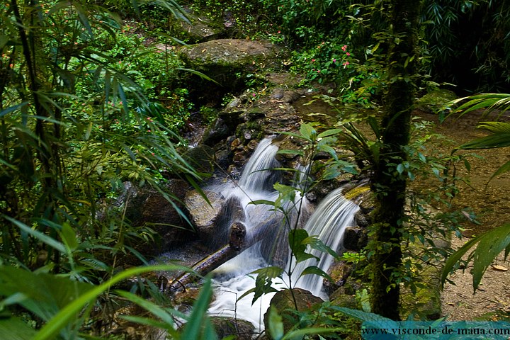 Cachoeira_Santuario_Visconde_Maua-1002.jpg (145 KB)