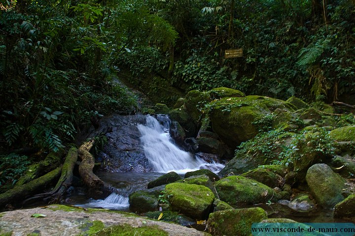 Cachoeira_Santuario_Visconde_Maua-1011.jpg (128 KB)