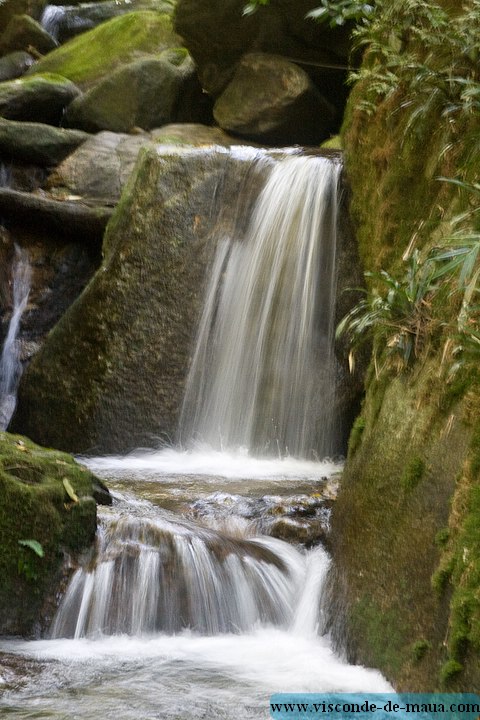 Cachoeira_Santuario_Visconde_Maua-1063.jpg (98.7 KB)