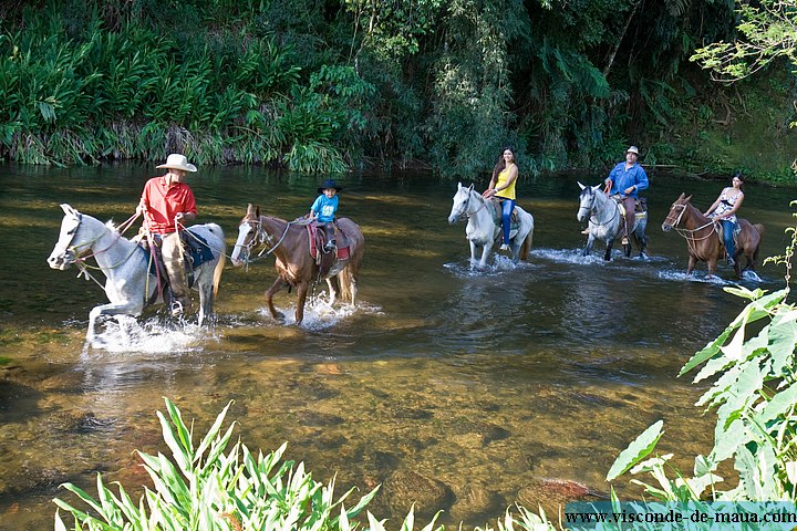 Maua_Aluguel_Cavalos-6423.jpg Cavalgadas