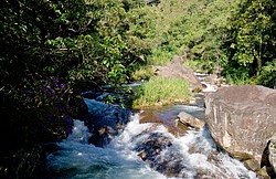 Maromba4996.jpg(138 KB)