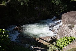 Maromba5000.jpg(83.7 KB)