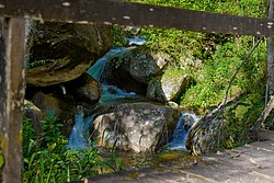 Maromba5080-3.jpg(123 KB)