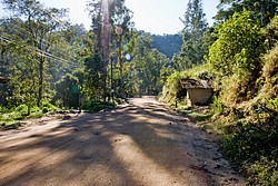 Santa_Clara4979.jpg(146 KB)