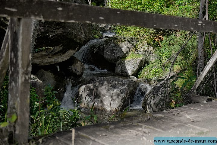 Maromba5080 copy.jpg (110 KB)