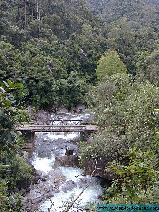 footbridge.jpg (162 KB)