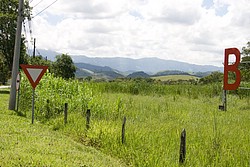 ViscondeMauaEstradaPenedo4289.jpg(109 KB)