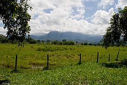 ViscondeMauaEstradaPenedo4291.jpg(123 KB)
