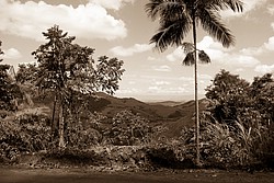 ViscondeMauaEstradaPenedo4363-2.jpg(121 KB)