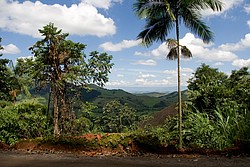 ViscondeMauaEstradaPenedo4363.jpg(125 KB)