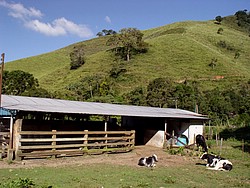 Curral.jpg(125 KB)