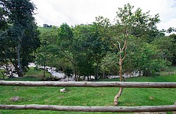 FazendaRioPedras_4754.jpg(125 KB)