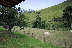 FazendaRioPedras_4783.jpg(105 KB)