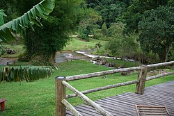 FazendaRioPedras_4945.jpg(122 KB)