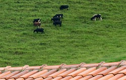 FazendaRioPedras_4959.jpg(77.2 KB)