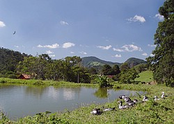 Lago_de_tilapias.jpg(107 KB)