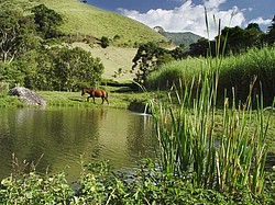 Lago_de_trutas.jpg(171 KB)