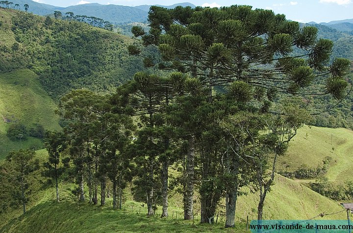 Vista 02.jpg Mais_Fotos_Rio_Cristais