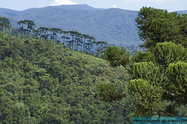 Vista 03.jpg Mais_Fotos_Rio_Cristais