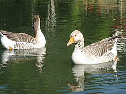 JOSE 24,07 028.jpg(70.7 KB)