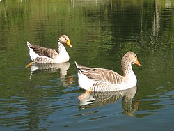 JOSE 24,07 029.jpg(66.7 KB)