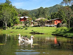 JOSE 24,07 036.jpg(108 KB)