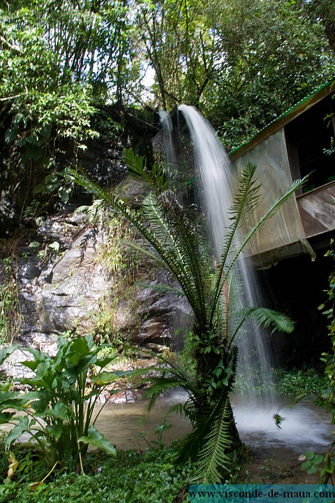 IMG_5824.jpg (135 KB)