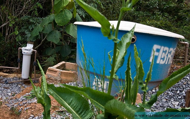 Mato_Verde-6494.jpg (113 KB)