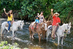 Cavalos - Visconde de Mauá (024)9903-5146