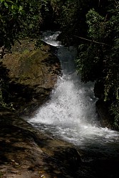 Cachoeira_Alcantilado_Vale_Flores4423.jpg(96.3 KB)