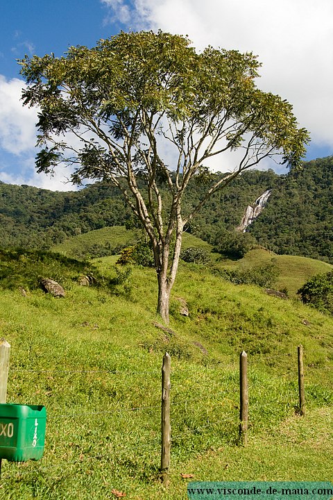 Cachoeira_Alcantilado_Vale_Flores4386.jpg (149 KB)