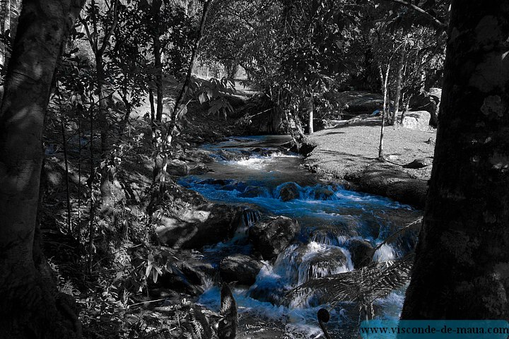 Cachoeira_Alcantilado_Vale_Flores4389-2.jpg (116 KB)
