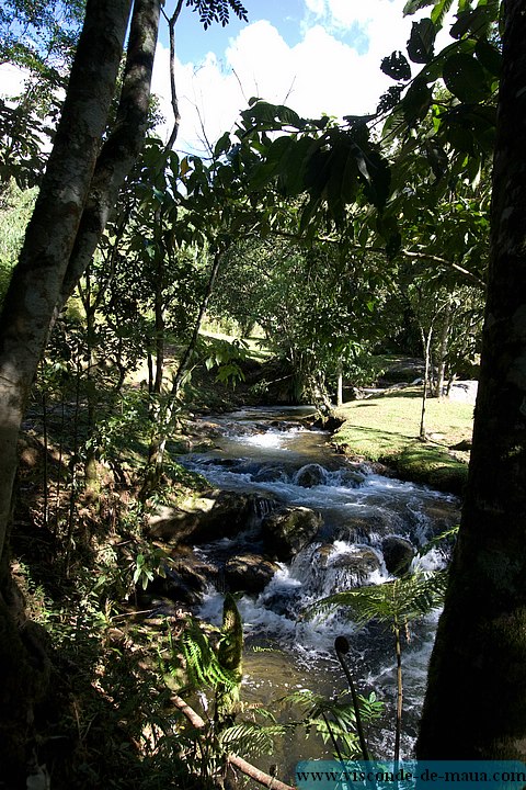 Cachoeira_Alcantilado_Vale_Flores4390.jpg (139 KB)