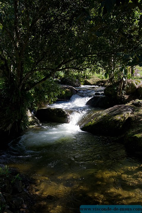 Cachoeira_Alcantilado_Vale_Flores4392.jpg (110 KB)