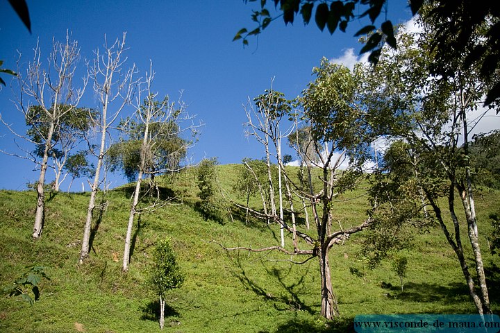 Cachoeira_Alcantilado_Vale_Flores4399.jpg (136 KB)