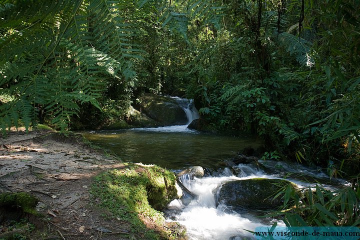 Cachoeira_Alcantilado_Vale_Flores4402.jpg (123 KB)