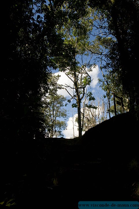 Cachoeira_Alcantilado_Vale_Flores4404.jpg (81.4 KB)