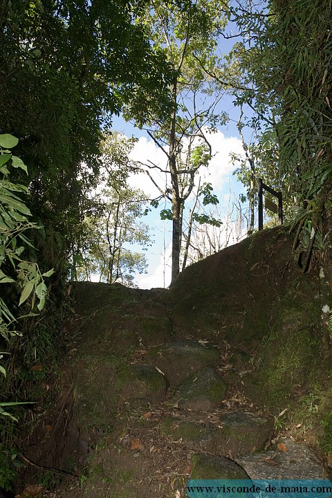 Cachoeira_Alcantilado_Vale_Flores4405.jpg (130 KB)