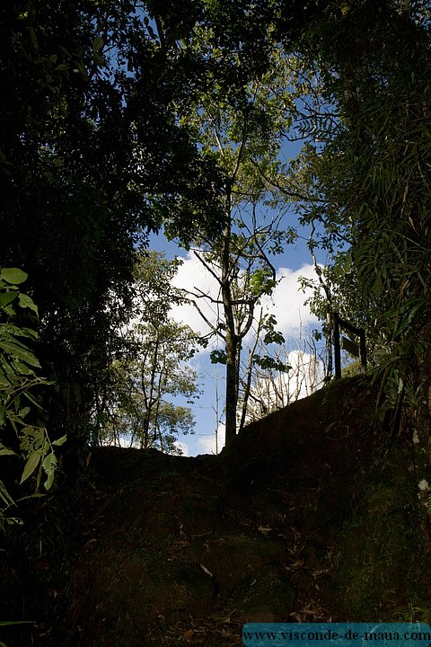 Cachoeira_Alcantilado_Vale_Flores4407.jpg (116 KB)