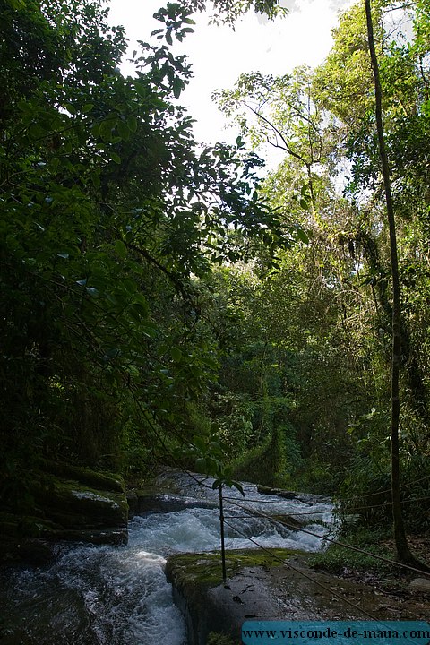 Cachoeira_Alcantilado_Vale_Flores4414.jpg (131 KB)