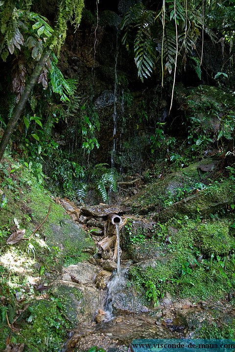 Cachoeira_Alcantilado_Vale_Flores4428.jpg (153 KB)