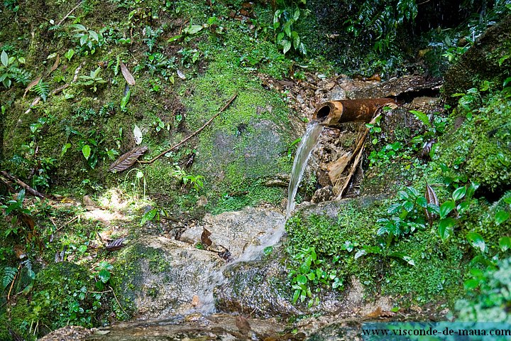 Cachoeira_Alcantilado_Vale_Flores4429.jpg (180 KB)