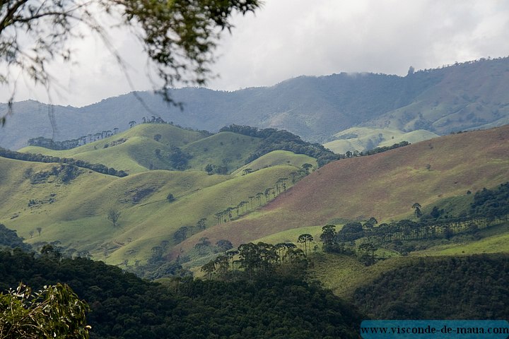 Cachoeira_Alcantilado_Vale_Flores4453.jpg (75.1 KB)